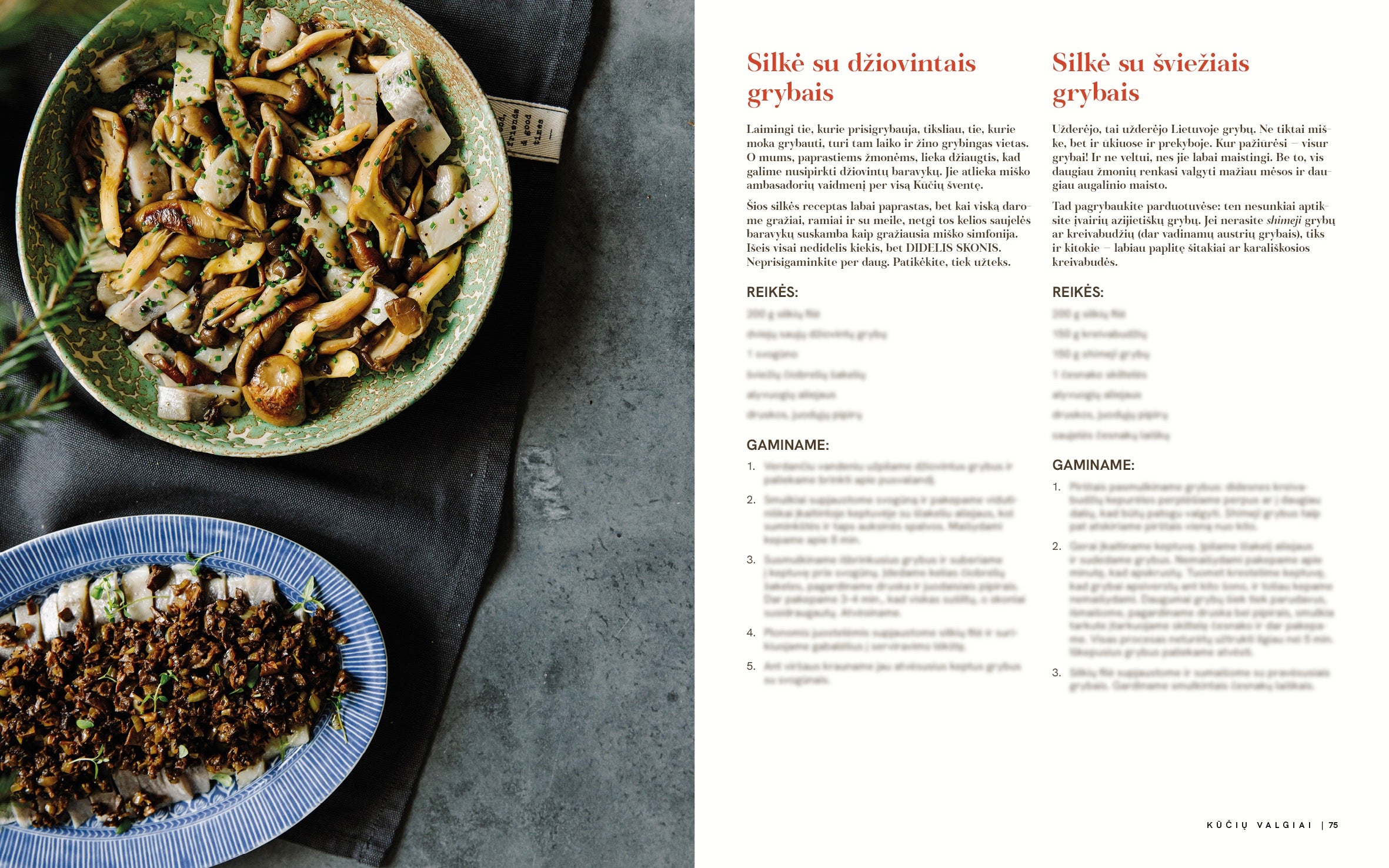 🎄 Kalėdų knyga su prabangiu dovanų pakavimu