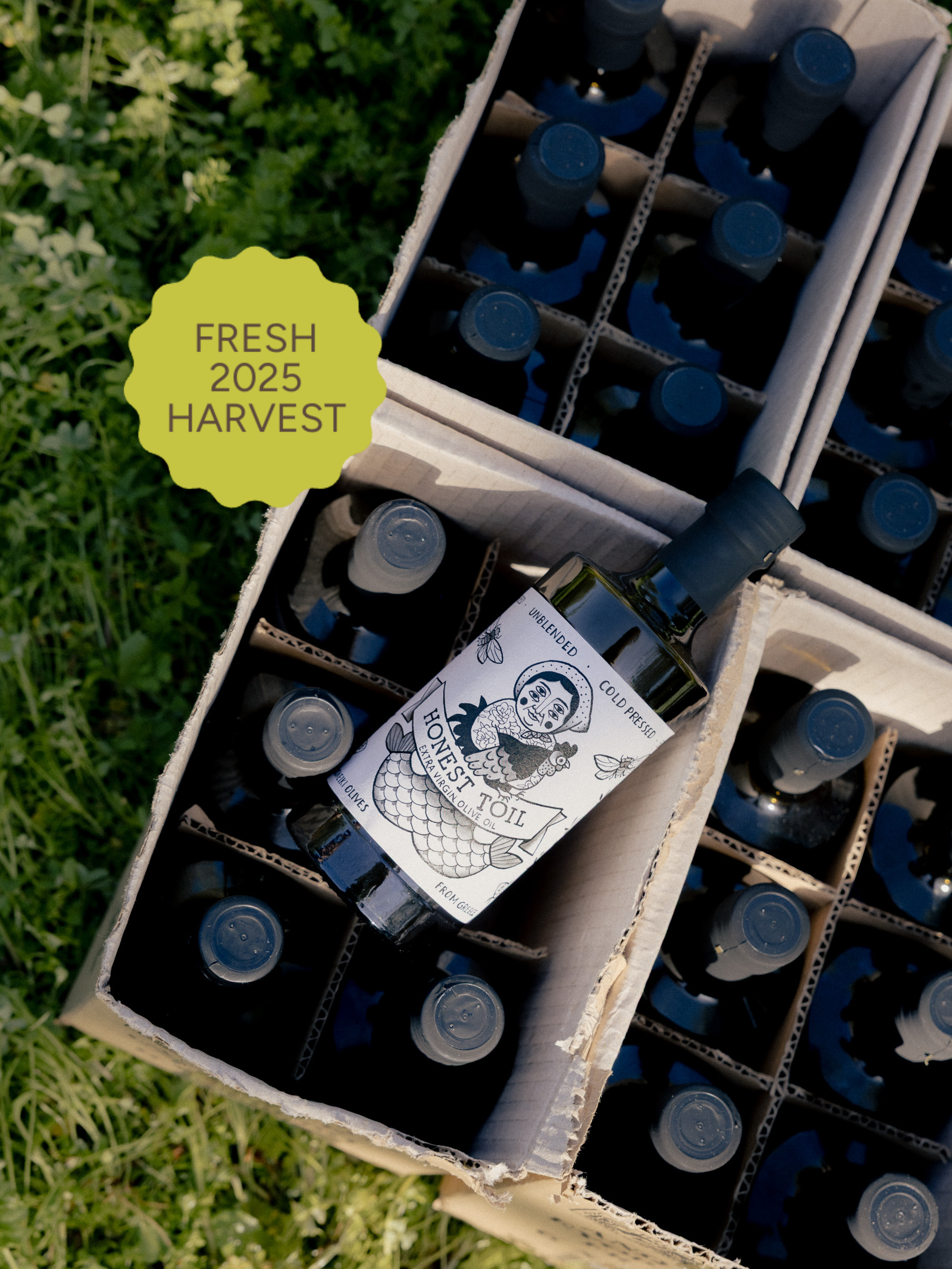 Graikiškas nefiltruotas šalto spaudimo EVO 🫒🫒🫒