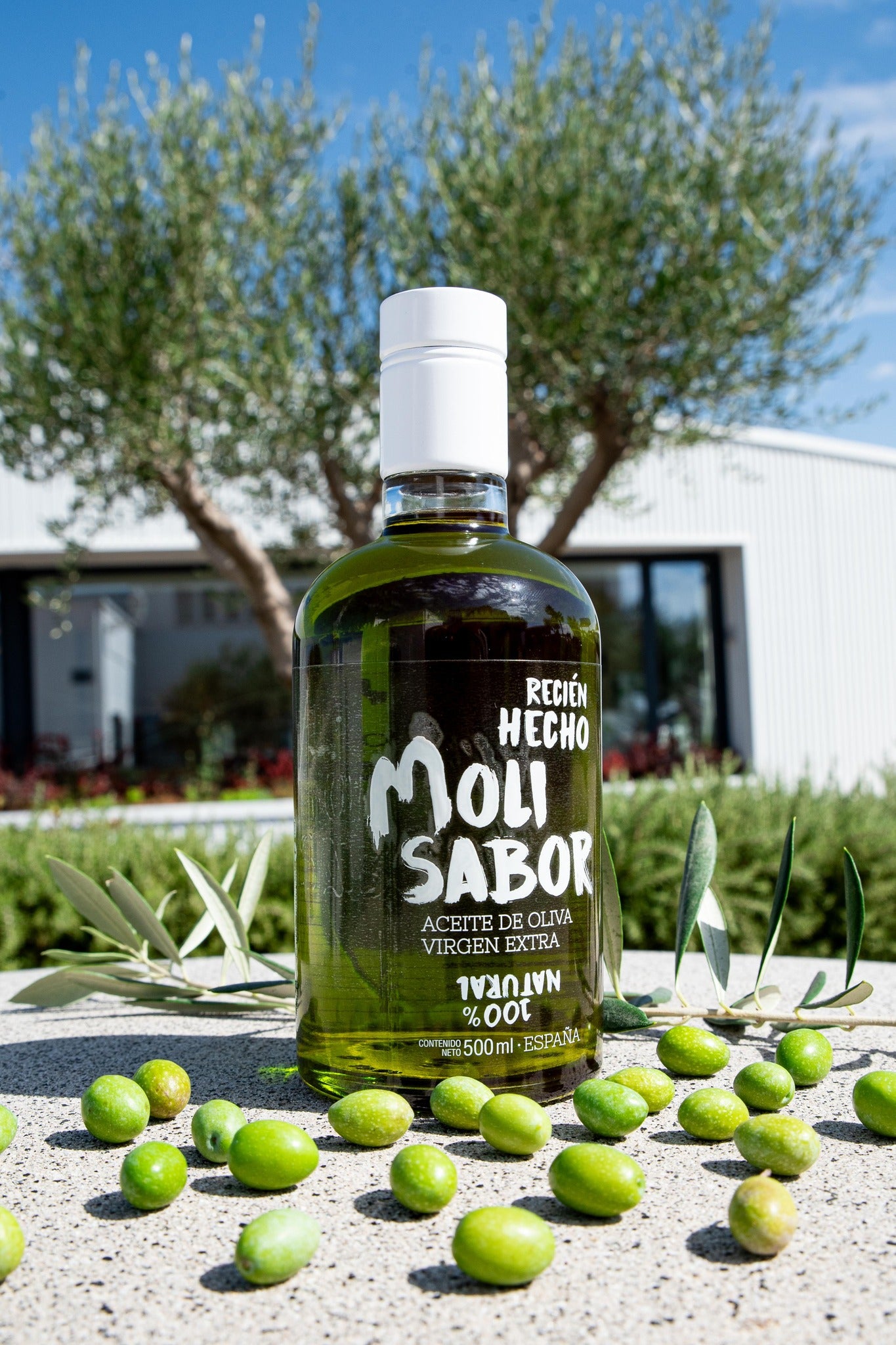 Pirmojo derliaus Molisabor Picual – alyvuogių aliejus Beatos.lt