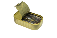Sardines in Olive Oil – galinis vaizdas | Beata Nicholson