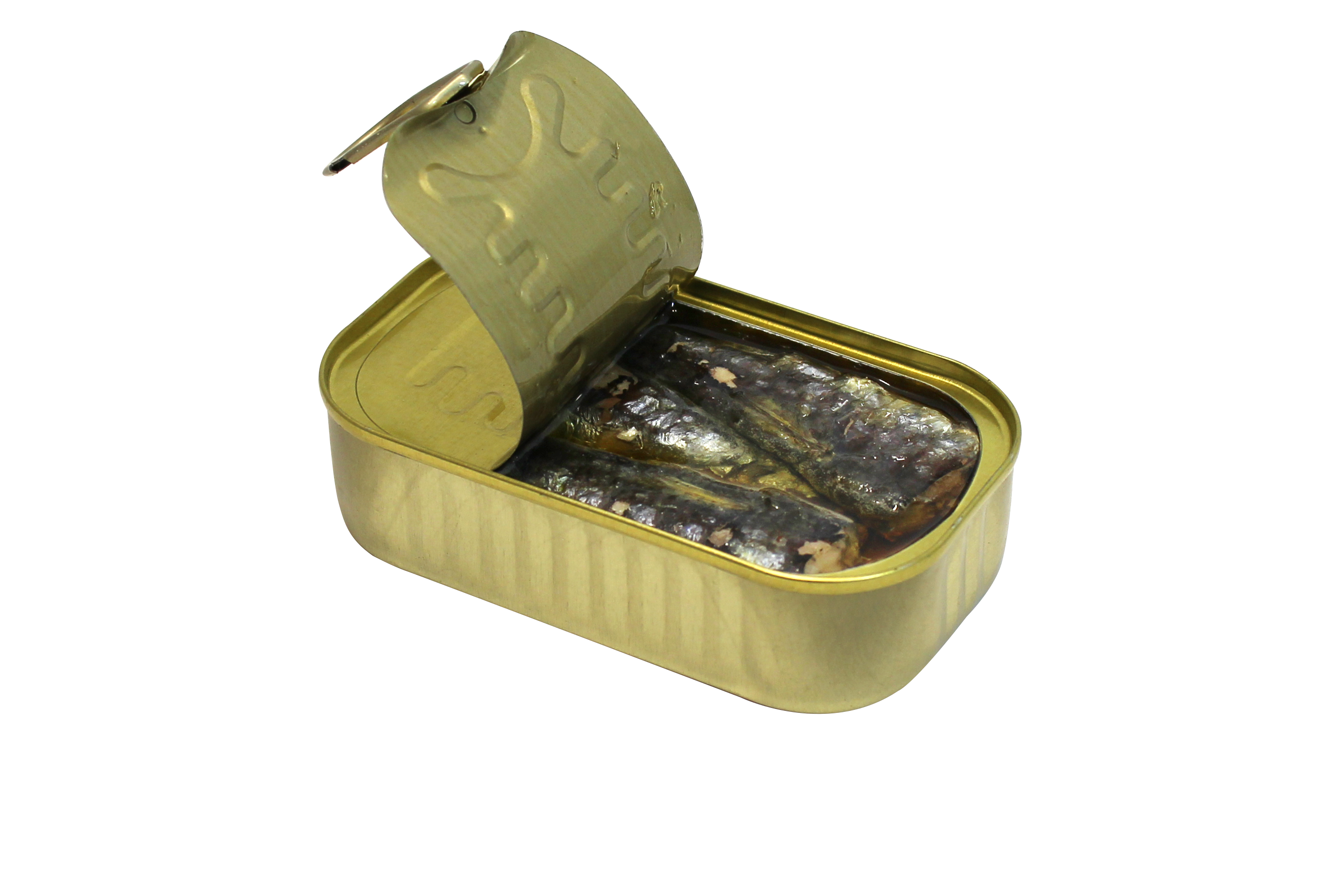Sardines in Olive Oil – galinis vaizdas | Beata Nicholson
