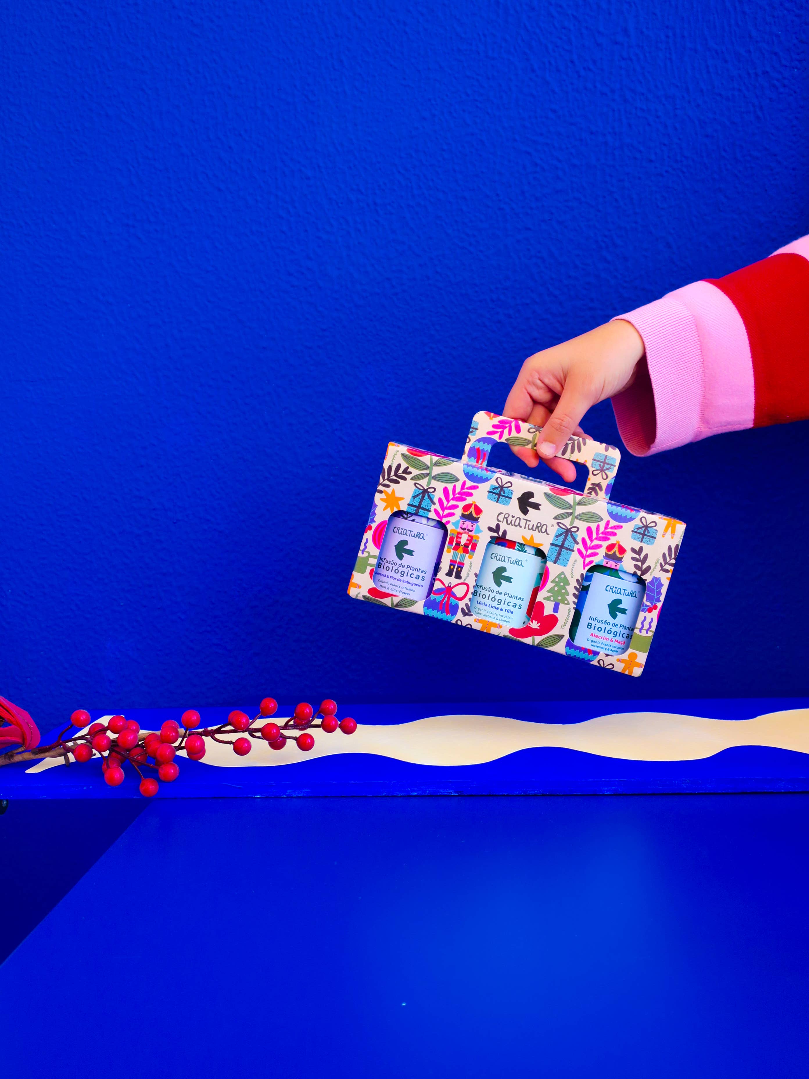 KALĖDINĖ ARBATOS DĖŽUTĖ | Criatura x Teresa Rego – Specialus leidimas