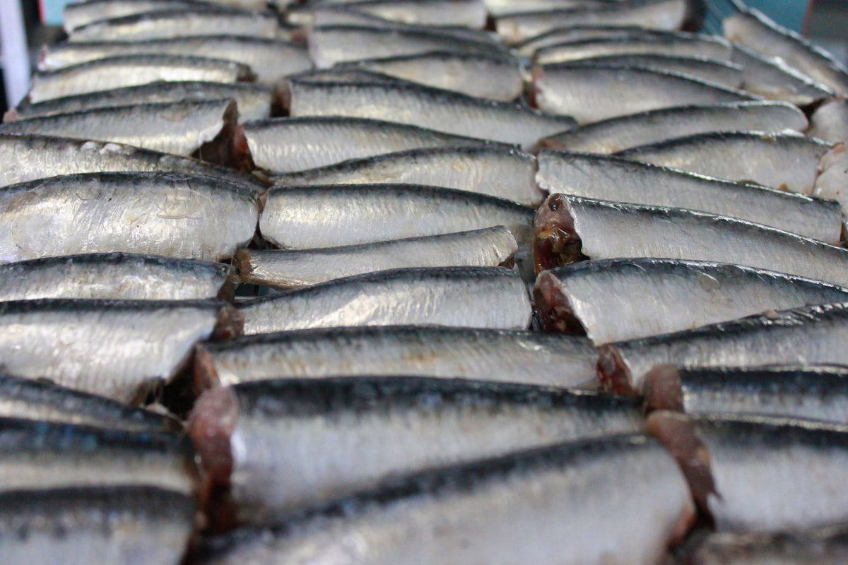 Ekologiškos sardinės alyvuogių aliejuje, 270 g | Jean de Luz – patiekimo vaizdas | Beata Nicholson