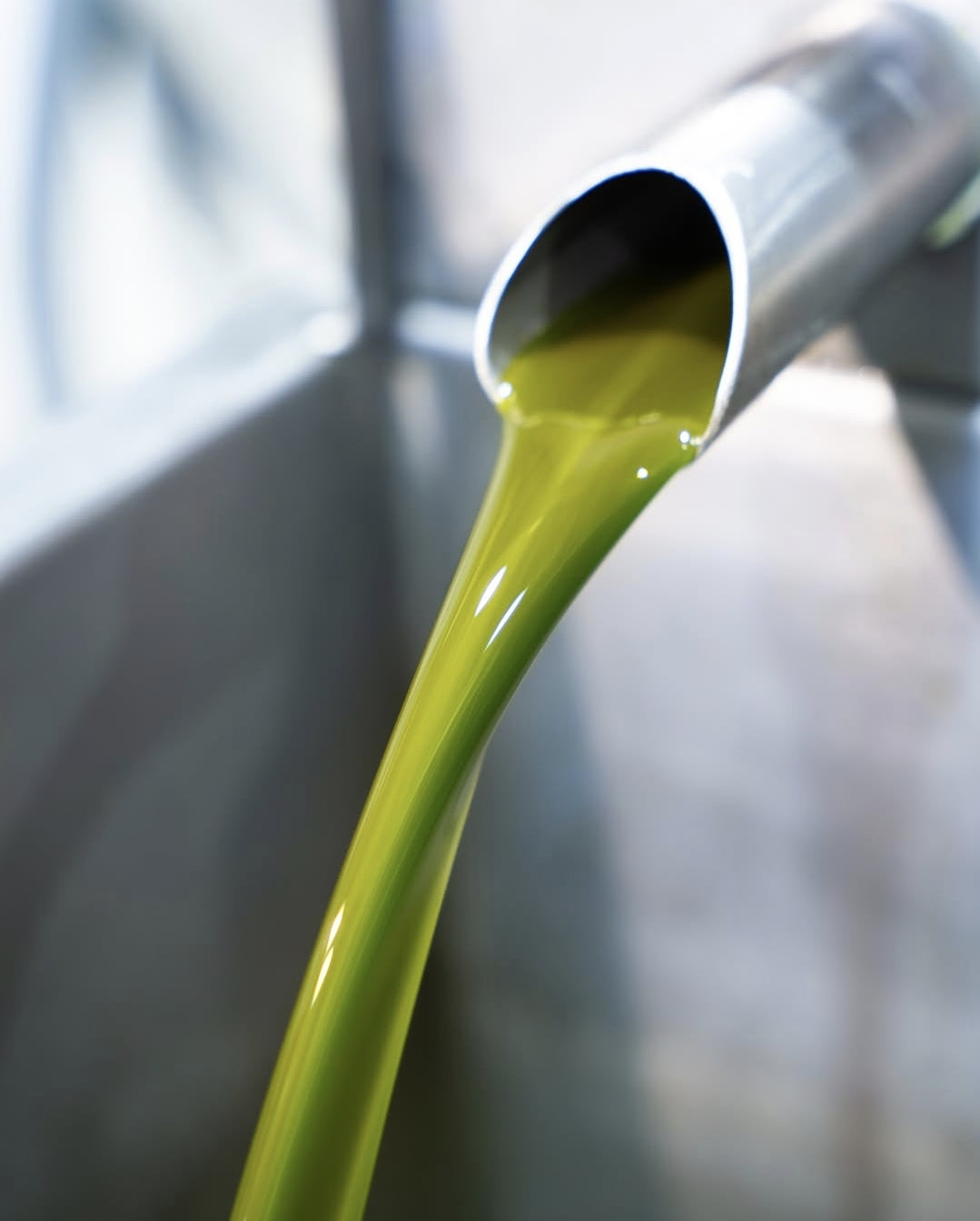 „Hacienda el Palo Arbequina“