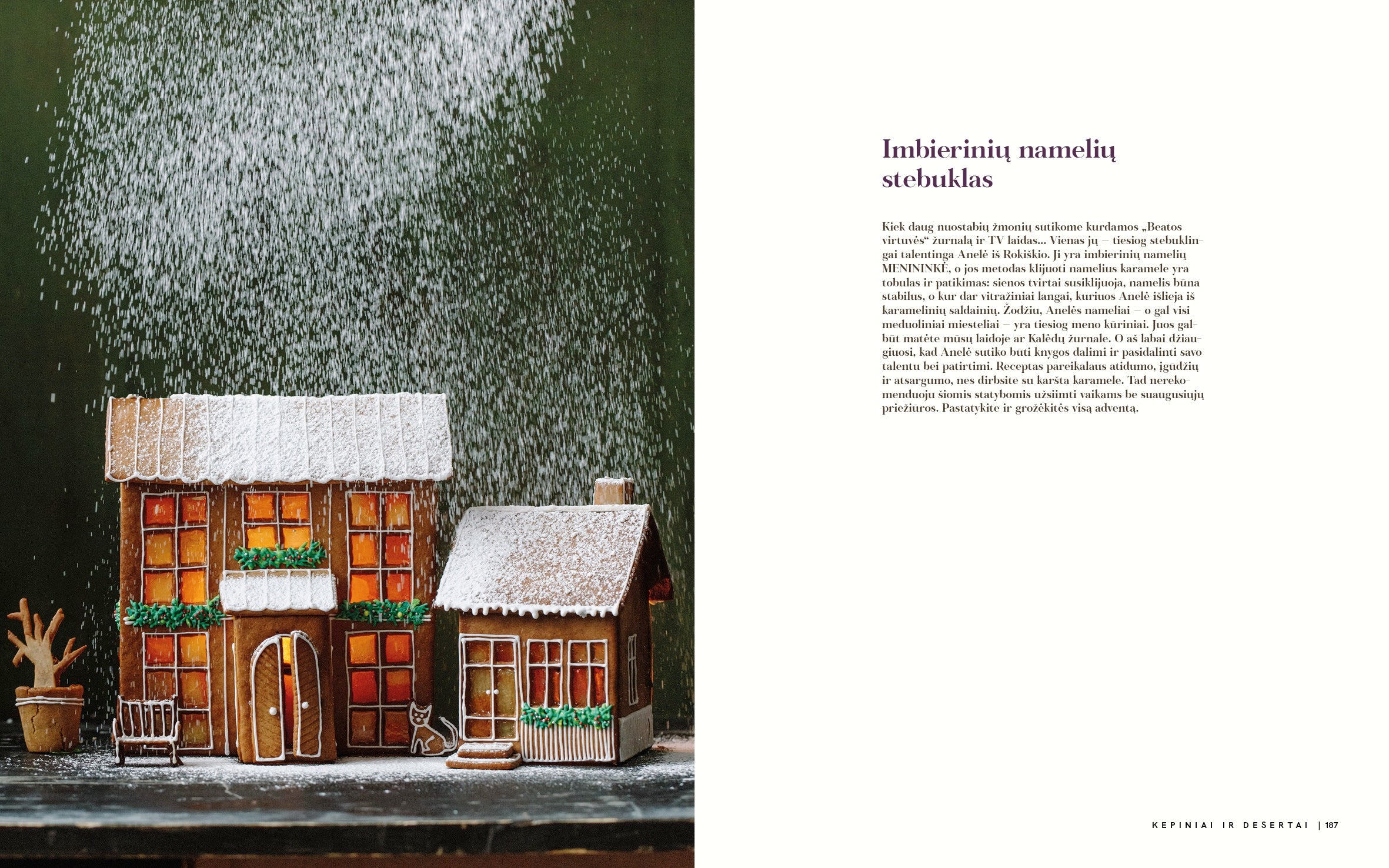 🎄 Kalėdų knyga su prabangiu dovanų pakavimu