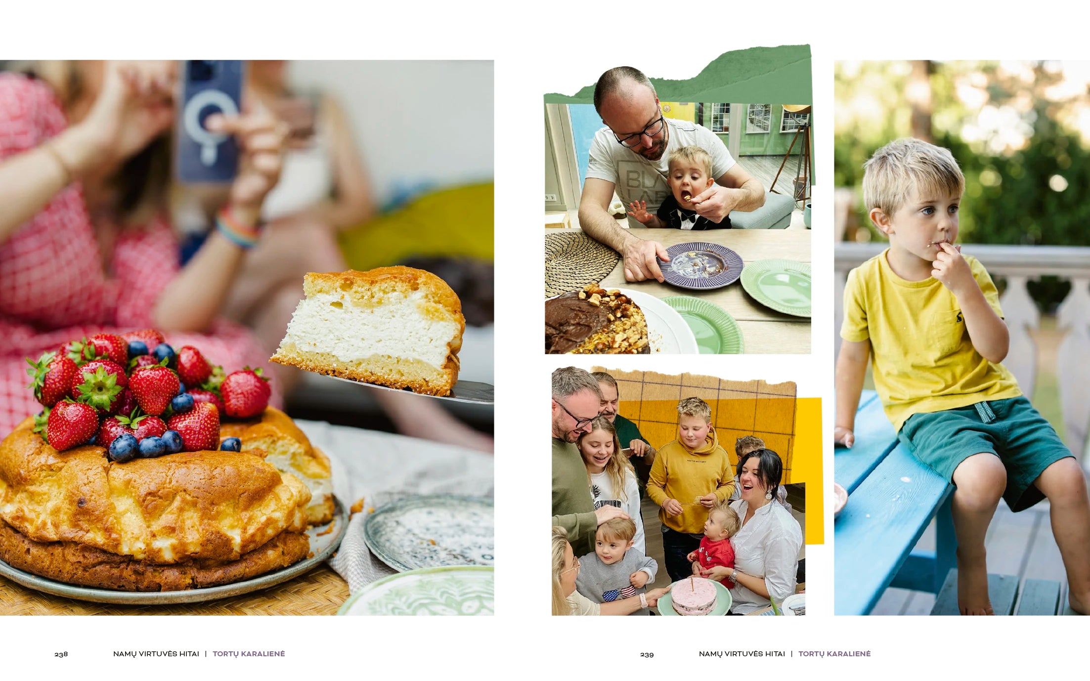 Beatos Nicholson knyga "Namų virtuvės hitai"