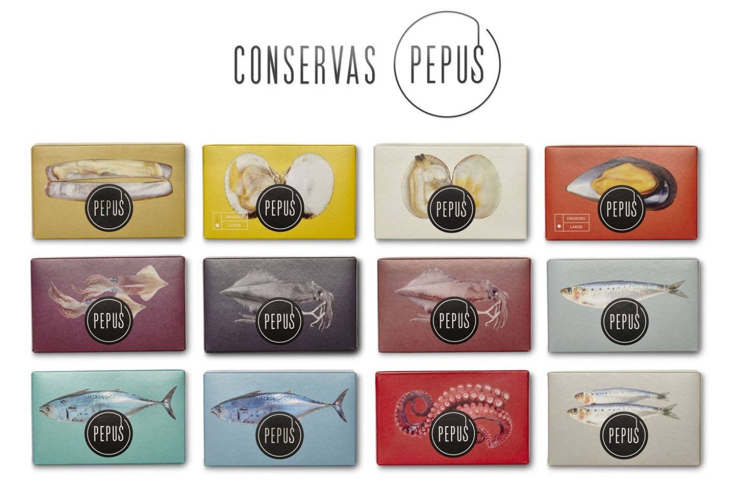 PEPUS RR-125 Sardines Tomato Sauce – šoninis vaizdas | Beata Nicholson