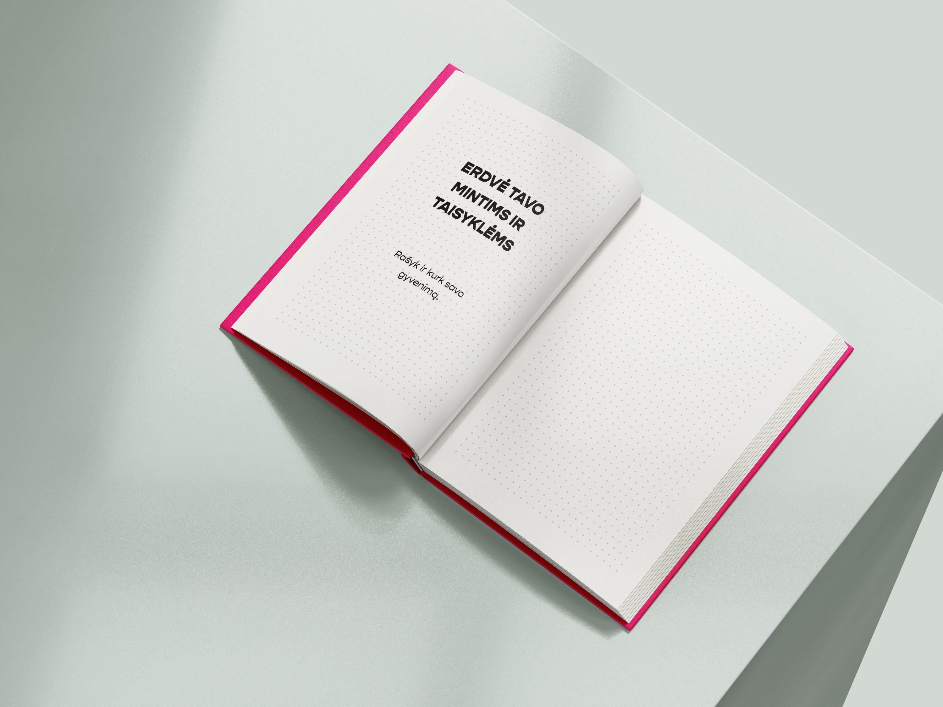 21 taisyklė geram gyvenimui - Riboto leidimo kietais viršeliais